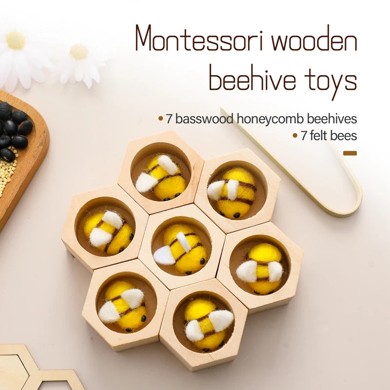 Wooden Montessori Sorting Toys